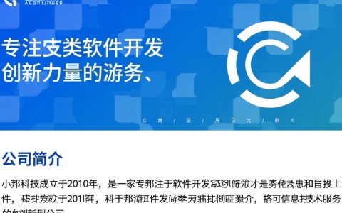 小邦科技，这家软件开发公司有何独特之处，为何备受关注？