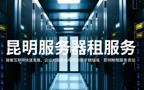 昆明服务器租服务，哪家性价比更高，值得信赖？