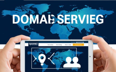 为何域名服务商所在区域对域名注册速度和稳定性有重要影响？