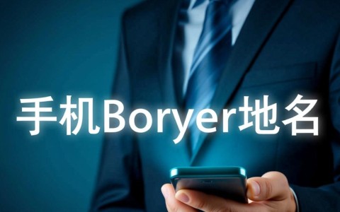 如何轻松识别和查看手机服务器域名，揭秘其隐藏信息？