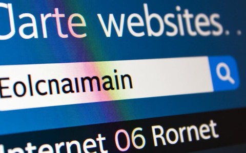 如何轻松查询并确定一个网站的准确域名？