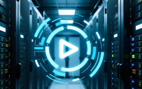 监控流媒体服务器数量与监控服务器类型，有何关联与差异？