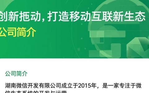 湖南微信开发有限公司，为何在行业竞争中脱颖而出？揭秘其成功秘诀！