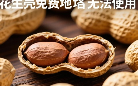 为何花生壳免费域名总是无法正常使用？