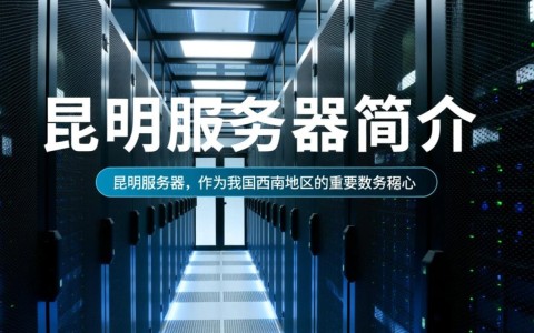 昆明服务器一台，性能如何？性价比怎样？值得购买吗？