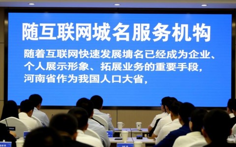 河南省域名服务机构，服务内容、价格、优势及如何选择？