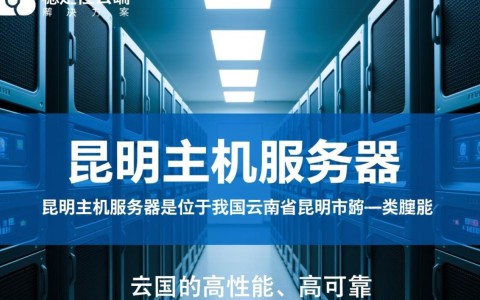 昆明主机服务器，哪家服务商性价比更高，服务更优质？