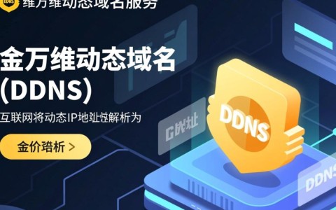 金万维动态域名价格如何？性价比高吗？有哪些优势与不足？
