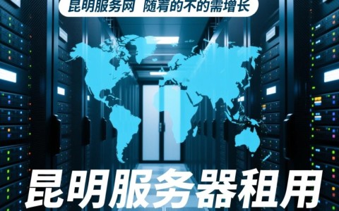 昆明服务器租一年，性价比高吗？哪家服务商更值得信赖？