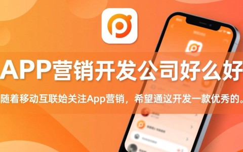 郑州app营销开发公司哪家值得信赖，性价比高，服务优质？