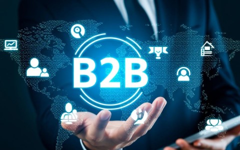 软件开发b2b平台如何实现高效对接与优化供应链管理？