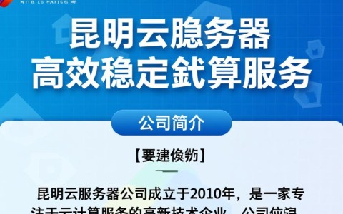 昆明云服务器公司，哪家服务更优，性价比更高？揭秘昆明云服务市场之谜！