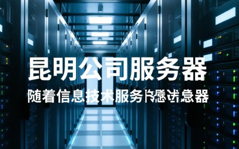 昆明公司服务器为何如此关键?揭秘其背后的重要性与潜在风险。