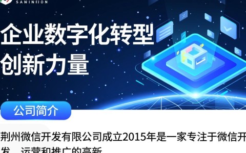 荆州微信开发有限公司，如何成为行业佼佼者？