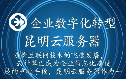 昆明云服务器哪家性价比更高？如何选择最适合我的需求？