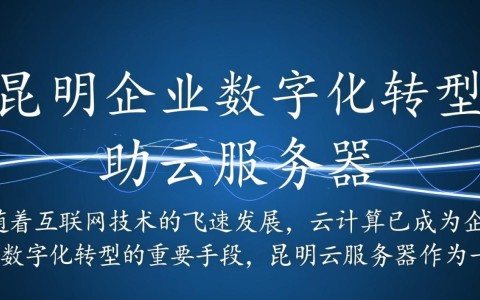 昆明云服务器在昆明的应用前景如何？