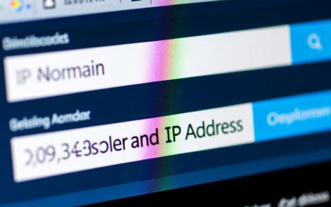 如何准确查询并确认特定域名的IP地址所在？