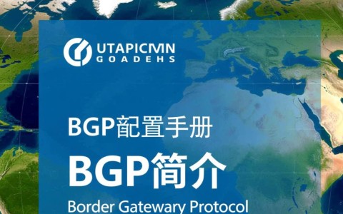 在bgp命令配置手册中,有哪些关键配置步骤容易出错?