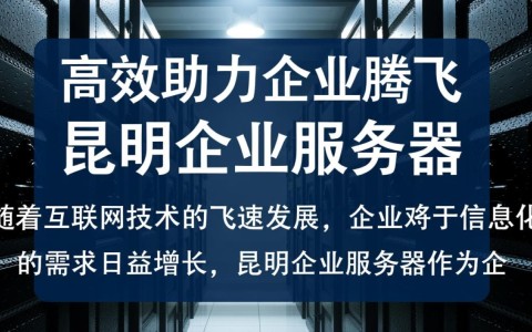 昆明企业服务器，为何选择本地服务，有何独特优势？
