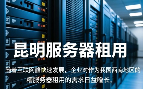 昆明服务器租赁价格为何波动较大？揭秘影响因素与选择技巧！