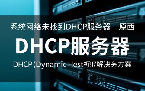 监控为何显示网络中缺失DHCP服务器？监控显示未找到DHCP服务器原因何在？