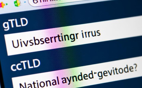 顶级域名究竟分为哪两大类？这两大类域名有何区别？