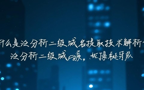 泛解析二级域名提取技术原理及应用疑问解答？
