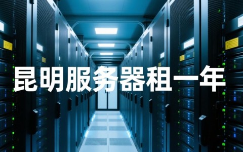 昆明服务器租用一年，性价比如何？值得推荐吗？