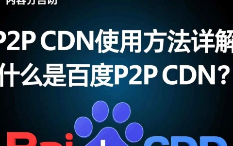 百度P2P CDN具体操作步骤是怎样的？新手如何快速上手？