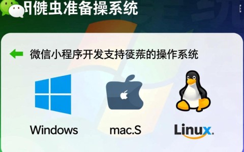 微信小程序开发究竟需要掌握哪些技能和工具？