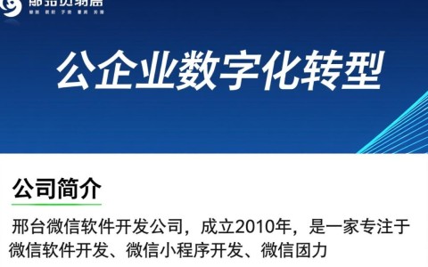 邢台微信软件开发公司有哪些优势？如何选择优质服务商？