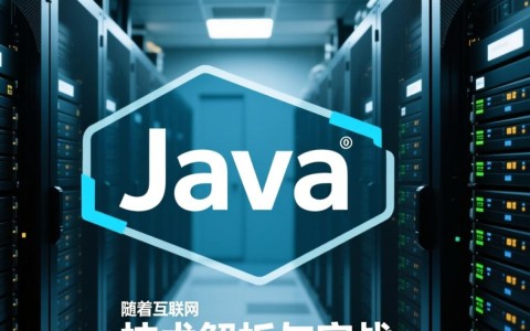 Java编程如何实现高效远程访问服务器？有哪些最佳实践和技巧？