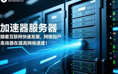 昆明加速器服务器，有何独特优势，值得行业瞩目？