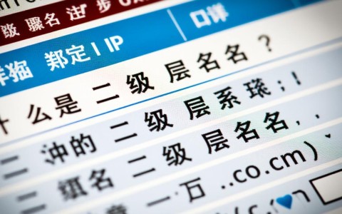 二级域名绑定IP时需要注意哪些步骤和细节？如何确保正确无误？