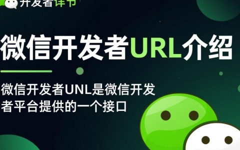 微信开发者如何正确获取与使用url和token？