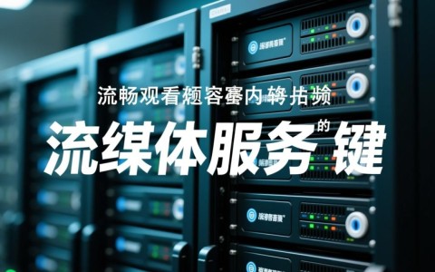 监控流媒体服务器，为何是监控流媒体服务器而非其他类型？