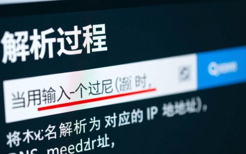 域名无法访问网页？揭秘导致无法打开网页的五大原因！