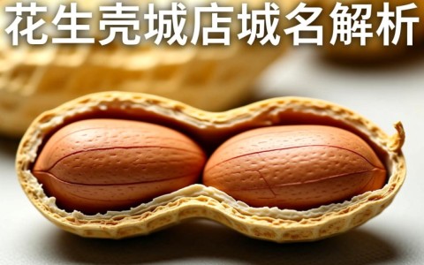 花生壳域名解析究竟有何特别之处？揭秘其工作原理及优势！