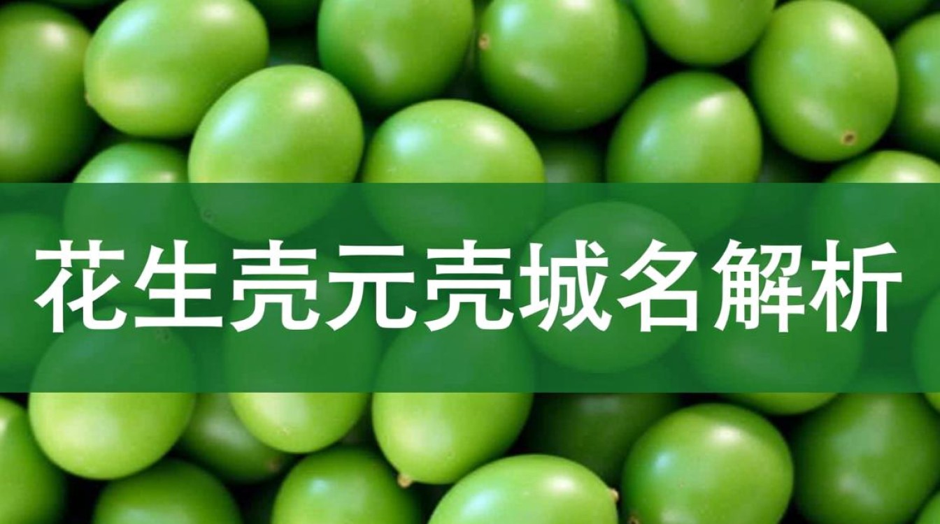 花生壳域名解析究竟有何特别之处?揭秘其工作原理及优势! 花生壳域名解析究竟有何特别之处?揭秘其工作原理及优势!