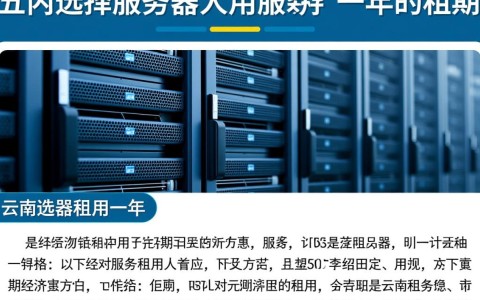 云南服务器租一年，性价比高吗？值得推荐吗？