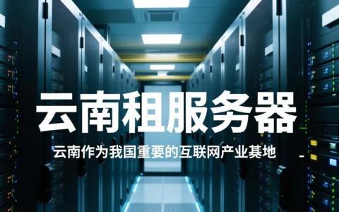 云南租服务器一年，性价比高吗？哪家服务商值得信赖？