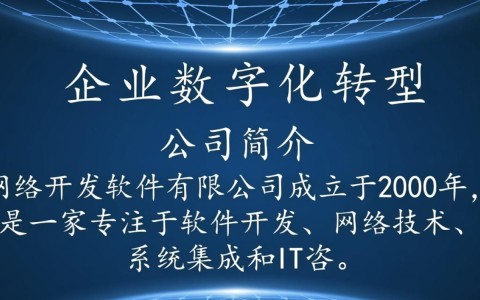 网络开发软件有限公司为何在业界备受瞩目？其业务模式和技术优势揭秘！