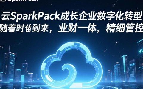 华为云SparkPack如何实现业财一体精细管控，助力成长型企业数字化转型之谜？