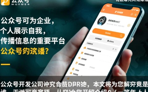 公众号的开发公司究竟是谁？揭秘其背后的技术团队与实力！