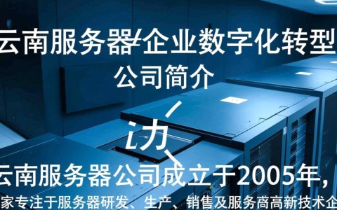 云南服务器公司，在云服务领域，云南企业如何脱颖而出？