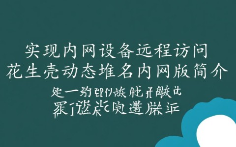 花生壳动态域名内网版如何实现稳定连接，适用哪些场景？