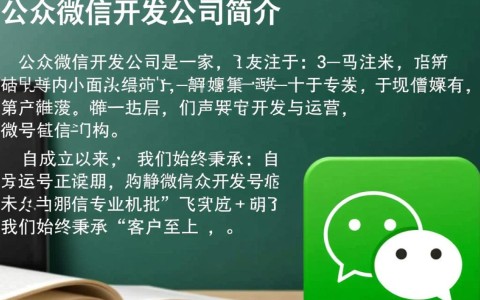 公众微信开发公司简介，揭秘专业团队如何打造个性化微信平台？