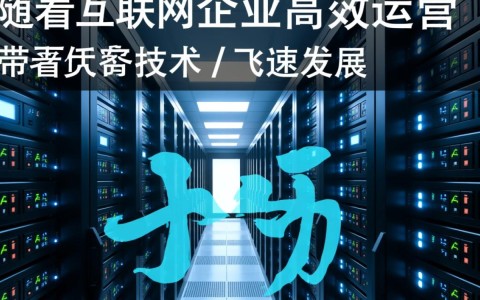 云南大带宽服务器如何满足企业高速网络需求？