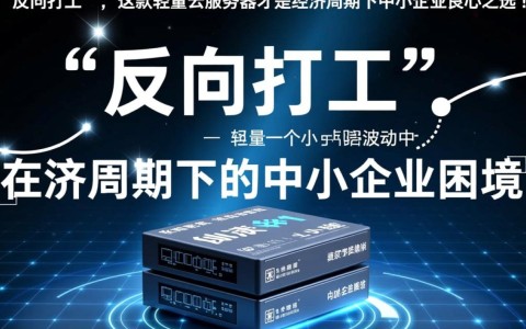 轻量云服务器如何避免‘反向打工’，成为中小企业经济低谷的良心选择？