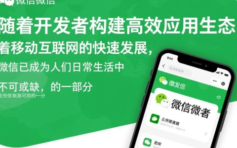 微信开发者中心对个人开发者有哪些潜在影响与挑战？